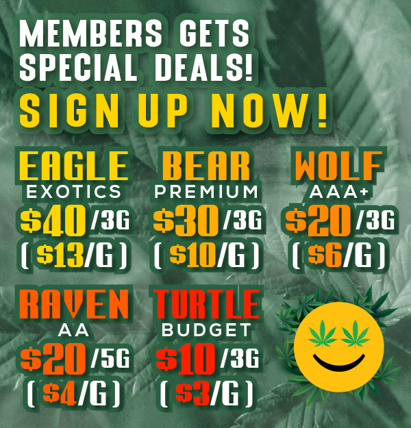 native-york-cannabis-banner-mobile