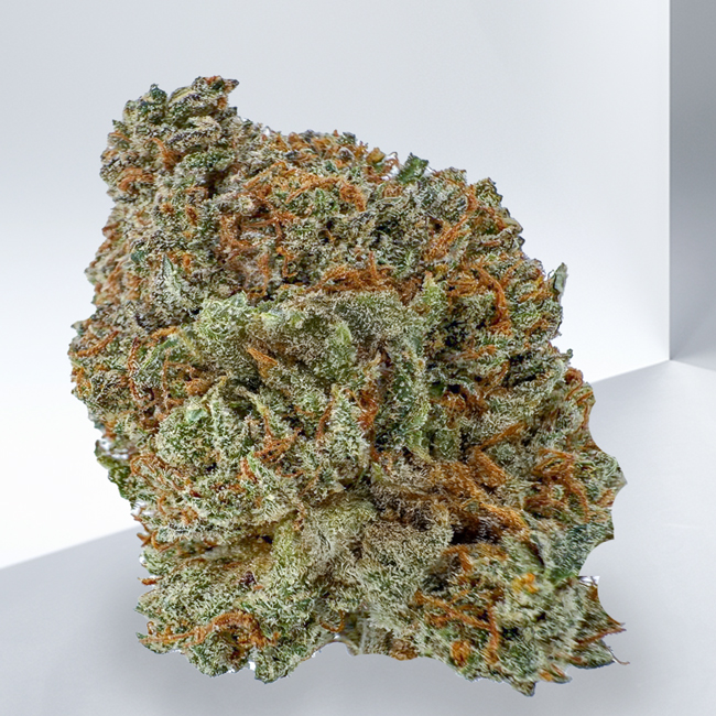301-CITRUS-GLUE-SATIVA.jpg